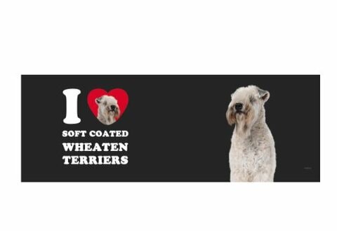 Tree Free Greetings XM29124 I Heart Soft Coated Wheaten Terriers Artful Jumbo Mug, 20-Ounce