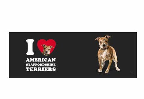 Tree Free Greetings XM28992 I Heart American Staffordshire Terriers Artful Jumbo Mug, 20-Ounce, Tan/Black/White