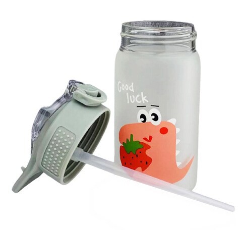 Dinasaur Water Glass Bottle with Straw Grey 350ml