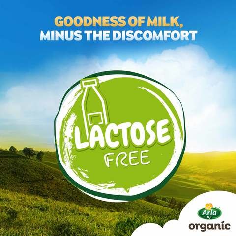 Arla Lactose Free Organic Milk 1 Liter
