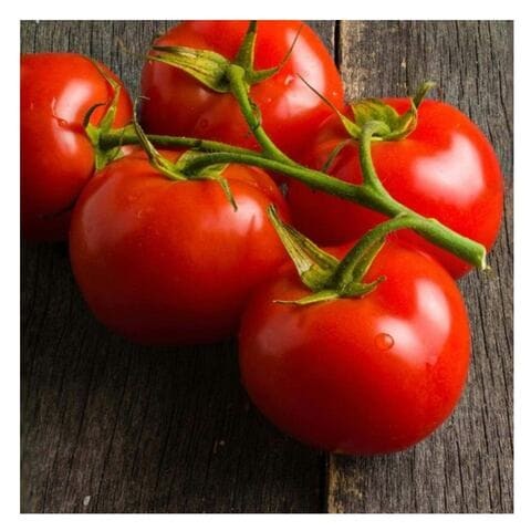 TOMATO BUNCH RED M/E