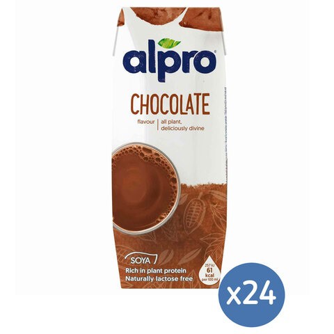 Alpro Soya Chocolate Drink 250mlx24