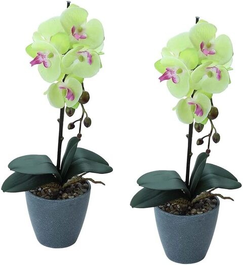 Orchid Wooden Mug Tree Holder (33 x 19.2 x 4.1 cm)