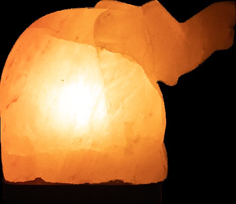 Generic Himalayan Salt Lamp - Elephant