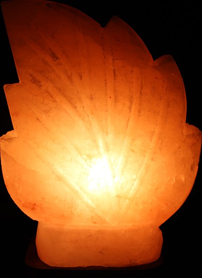 Generic Himalayan Salt Lamp - Leaf