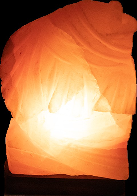 Generic Himalayan Salt Lamp - Fish