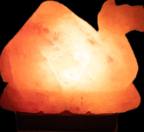 Generic Himalayan Salt Lamp - Camel