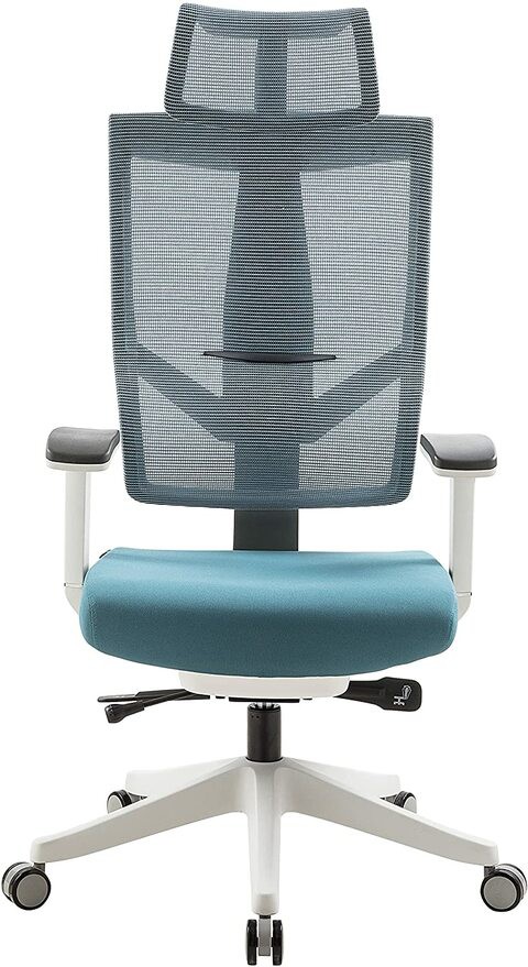 Aero Chair Ergonomic Design, Premium Office & Computer Chair with Multi-adjustable features by Navodesk (MARINE BLUE)