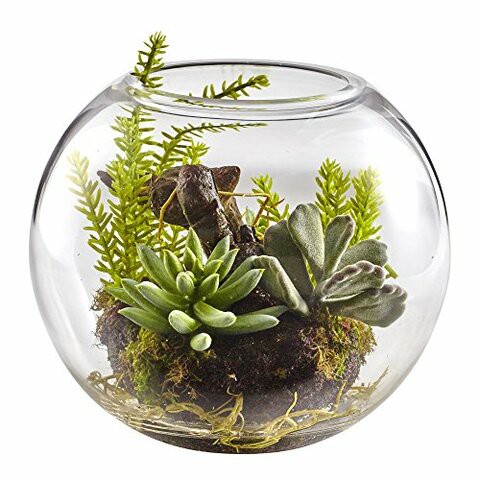 Nearly Natural 4564 Mix Succulent Garden with Glass Vase