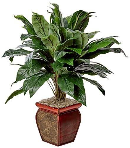 Nearly Natural 6688 Cordyline with Vase Decorative Silk Plant, Green,35 x 12