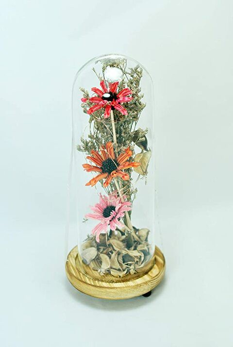 Momoline - Dry Flowers With Led Light In Dome Glass And Wooden Soccle