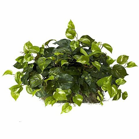 Nearly Natural 6708 Pothos Ledge Set on Foam Decorative Silk Plant, Green