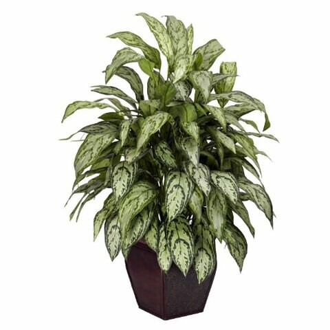 Nearly Natural 6693 Silver Queen with Planter Decorative Silk Plant, Green