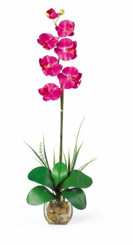 Nearly Natural 1104-BU Single Phalaenopsis Liquid Illusion Silk Flower Arrangement, Beauty