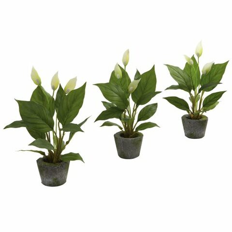 Nearly Natural 4974-S3 Spathyfillum with Cement Planter, Green, Set of 3