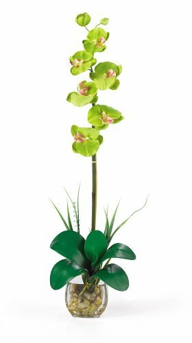 Nearly Natural 1104-GR Single Phalaenopsis Liquid Illusion Silk Flower Arrangement, Green