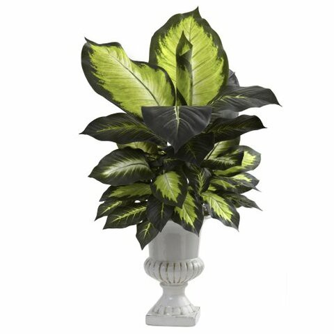 Nearly Natural 6776 Dieffenbachia with White Ceramic Urn, Green