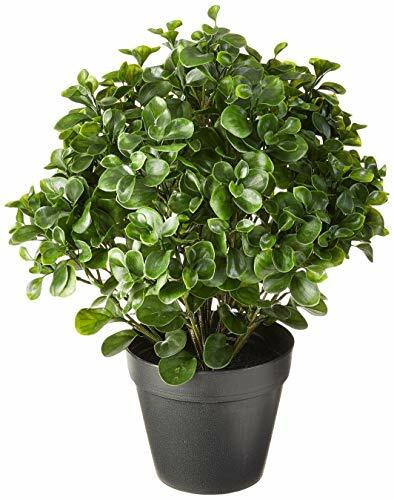 Nearly Natural Peperomia Indoor/Outdoor UV Resistant Plant, 23