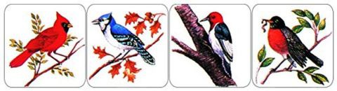 Eureka Bird Stickers Teacher Supplies For School Children, &quot;W X &quot;H, 20Pc
