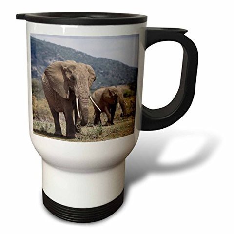 3Drose Kenya, Samburu National Reserve, Mother Elephant Walking With Her Calf Stainless Steel Travel Mug, 14 Oz, White