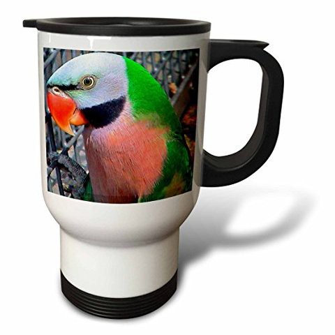 3Drose Budgie Parakeet Travel Mug, 14-Ounce