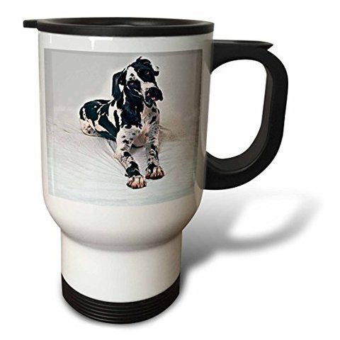 3Drose Great Dane Travel Mug, 14-Ounce, Stainless Steel