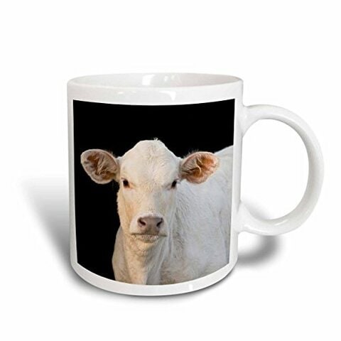 3dRose Charolais calf, Cow, Welder Ranch, Texas-US44 MPR0037-Maresa Pryor Ceramic Mug, 15 oz, White