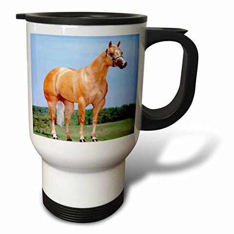 3Drose Quarter Horse Mare Travel Mug, 14-Ounce, Stainless Steel