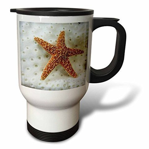 3Drose Star Fish On Coral&quot; Travel Mug, 14 Oz, Multicolor