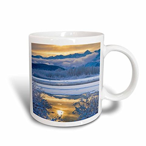 3Drose Use, Alaska, Chiliad Bald Eagle Preserve, Winter Mug, 15 Oz, Ceramic