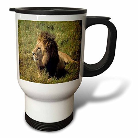 3Drose 3Drose&quot;African Male Lion&quot; Travel Mug, 14 Oz, Multicolor