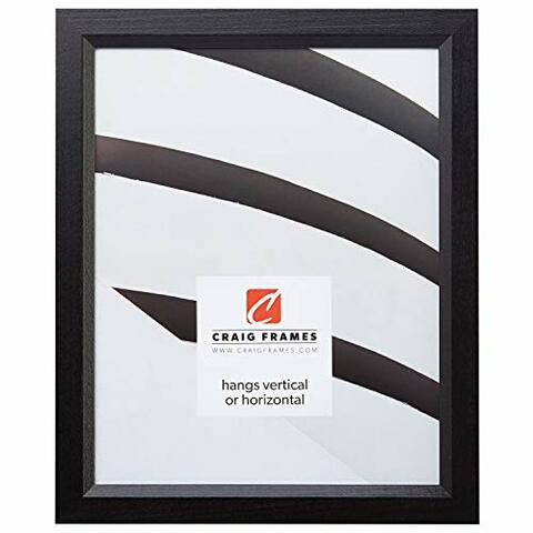 Craig Frames 7171610Bk 8.5 By 11-Inch Picture Frame, Solid Wood, .825-Inch Wide, Black