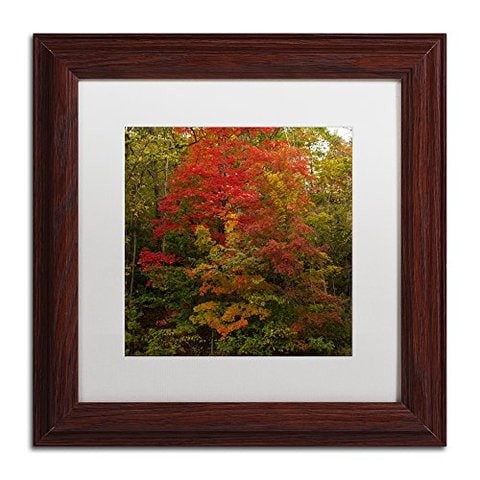 Trademark Fine Art Why I Love Autumn 2 Wall Decor By Kurt Shaffer, 11&quot; X 11&quot;, Wood Frame, White Matte