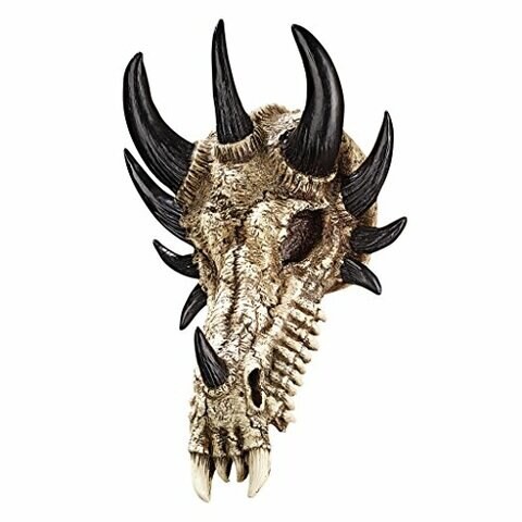 Design Toscano Pd203 Manchester&#39;s Dragon Bones Sculptural Skull Wall Trophy,Full Color