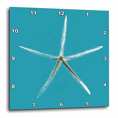 3Drose Pretty White Starfish On Teal Background-Wall Clock, 13-Inch (Dpp_220908_2)