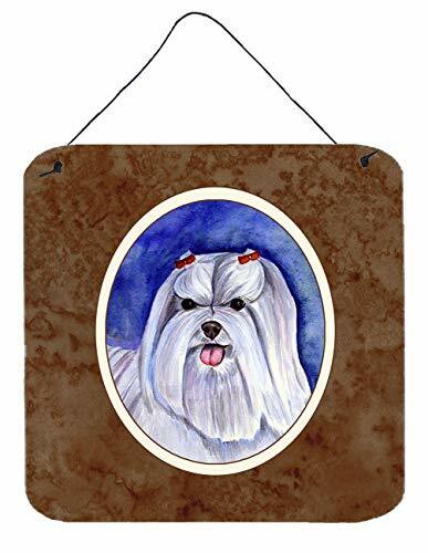 Caroline&#39;s Treasures 7108Ds66 Maltese Wall Or Door Hanging Prints, 6X6, Multicolor