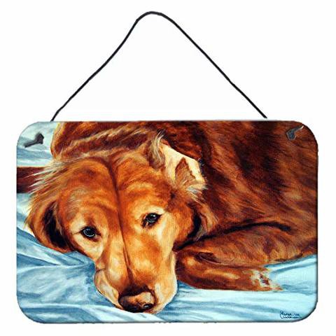 Caroline&#39;s Treasures Amb1040Ds812 Golden Retriever By Tanya And Craig Amberson Wall Or Door Hanging Prints, 8X12, Multicolor