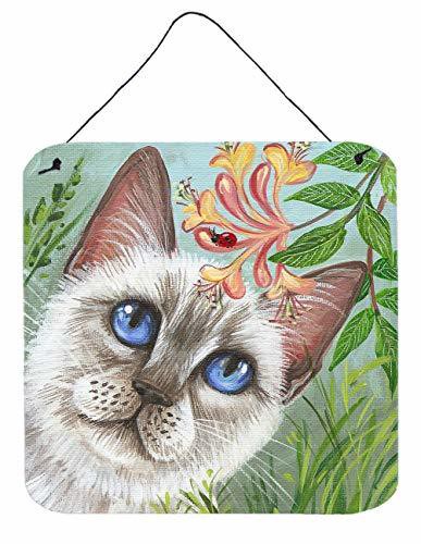 Caroline&#39;s Treasures Jyj0173Ds66 White Cat Saphire Eyes Wall Or Door Hanging Prints, 6X6, Multicolor