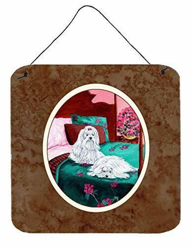 Caroline&#39;s Treasures 7110Ds66 Maltese And Puppy Waiting On You Wall Or Door Hanging Prints, 6X6, Multicolor