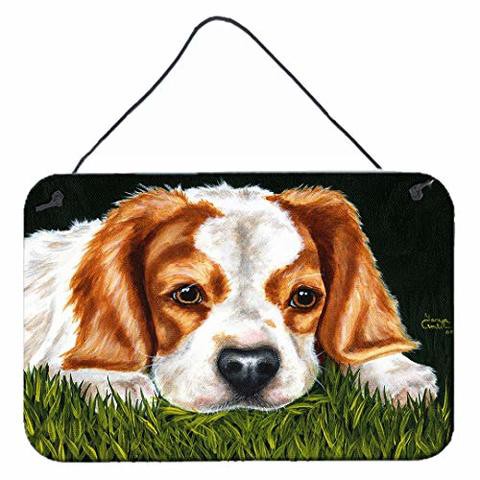 Caroline&#39;s Treasures Amb1395Ds812 Cavalier Spaniel In The Grass Wall Or Door Hanging Prints, 8X12, Multicolor