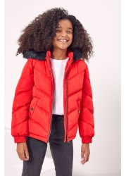 Lipsy Short Padded Coat