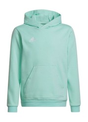 adidas Entrada22 Hoodie