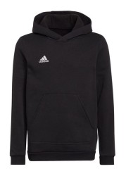 adidas Entrada22 Hoodie