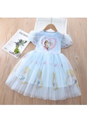 Hot Korean Summer Baby Clothes Frozen Elsa Kids Dresses for Girls Party Wear Flower Girl Dress for Wedding Party Korean Dresses