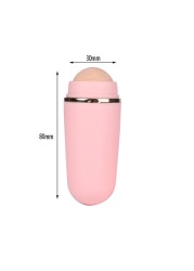 Face Care Facial Volcanic Stone Roller Mini Oil Control Facial Roller Remove Fat T-zone Oil Absorbing Reusable Skin Care