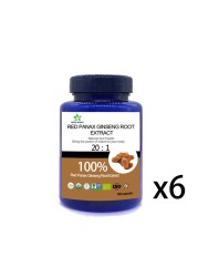 High quality pureure red korean panax ginseng root extract energy support, red panax ginseng root extract