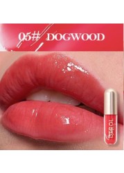 Derol Ginger Mint Matte Lip Glaze Plump and Moisturizing Lip Colored Lipgloss Liquid Lasting Underwater Light Transparent Lip Gloss