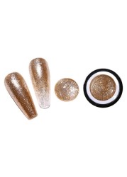 Nail Art Line Gel Polish Nail High Density Platinum Glue Glittering Painted Phototherapy Glitter Metallic Glitter Painting Platinum TSLM1