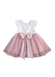 Girls' Dresses Princess Dress Mesh Puffy Dress Performance Clothes