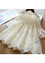 Spring and summer girls lace dress adorable cute baby dress